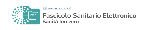 LOGO FSE Positivo a coloriWeb.png